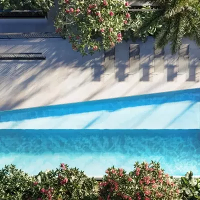 Residencial Auten Paul�nia - Alto Padr�o