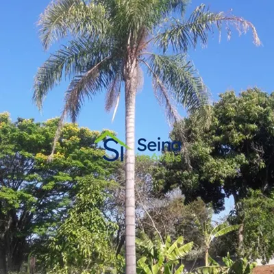 Chcaras So Bento - Valinhos